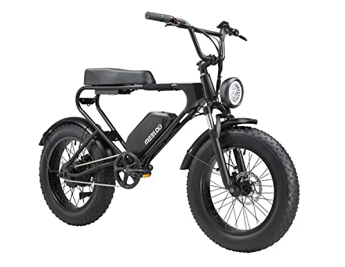 MEELOD Electric Bike Ebike with 750W Brushless Motor