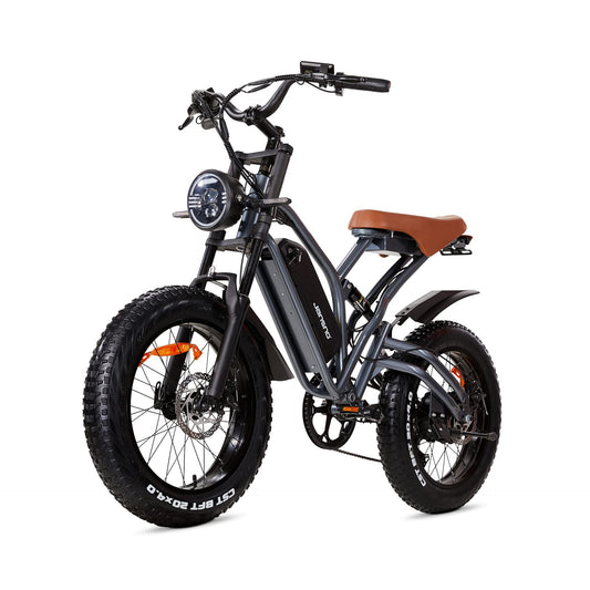 JANSNO Electric Bike 20" x 4.0 Electric Bike for Adults with 750W Brushless Motor
